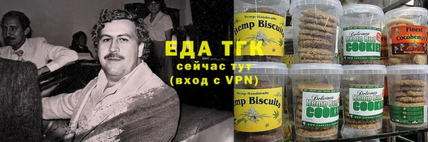 гашик Алзамай